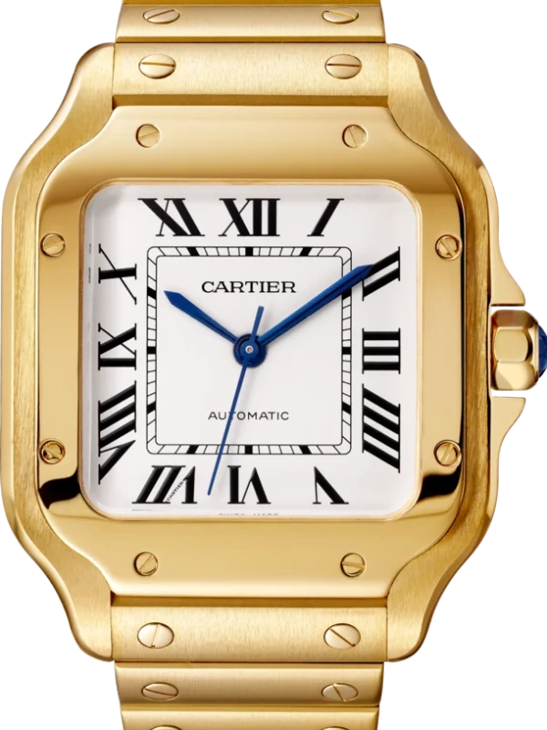 CARTIER santos 18kt Yellow Gold Men's WatchItem -WGSA0007(AAAAA)