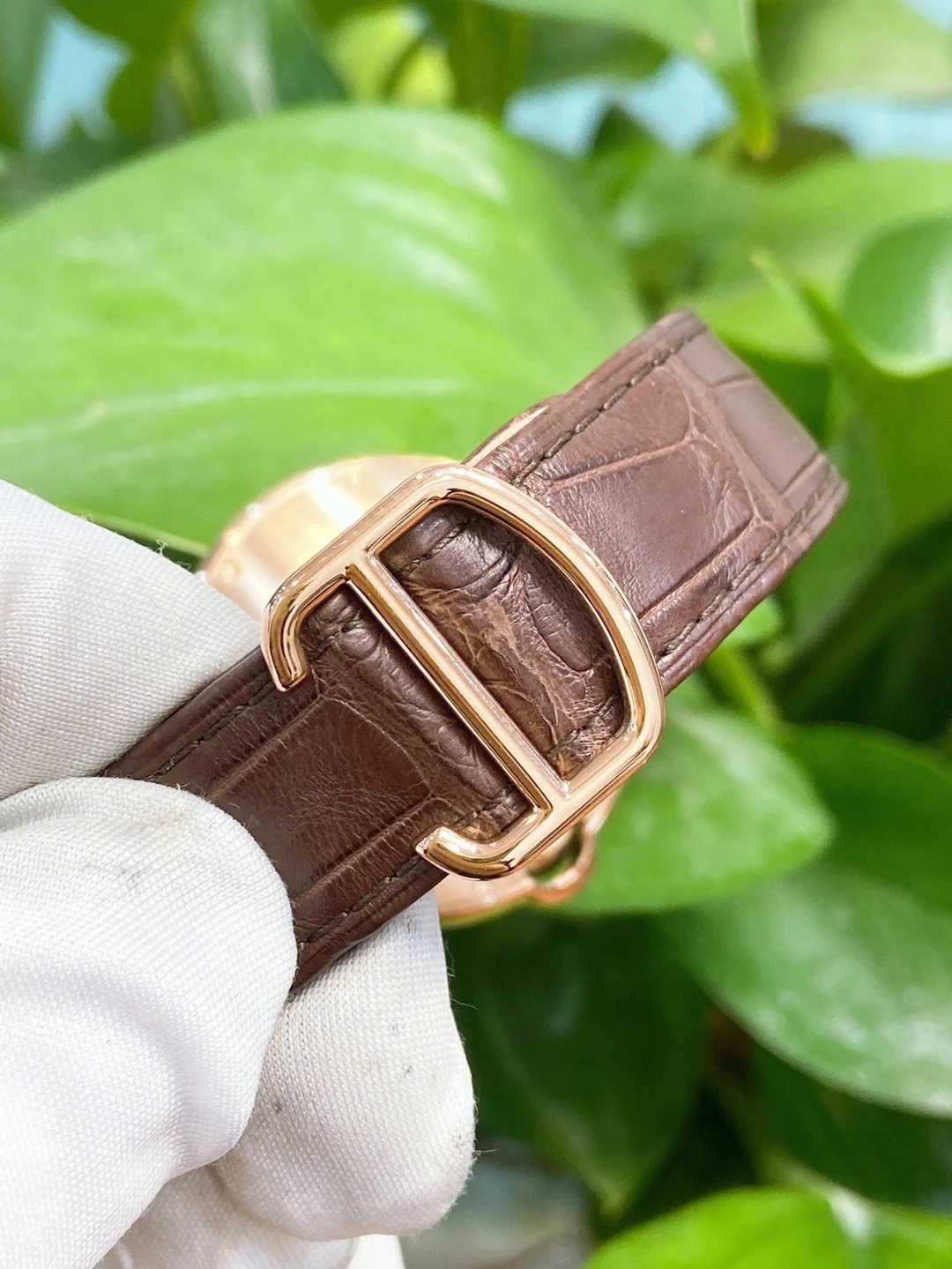 f288b6b8d6982d8e6d5b4bf0c9df4c5c